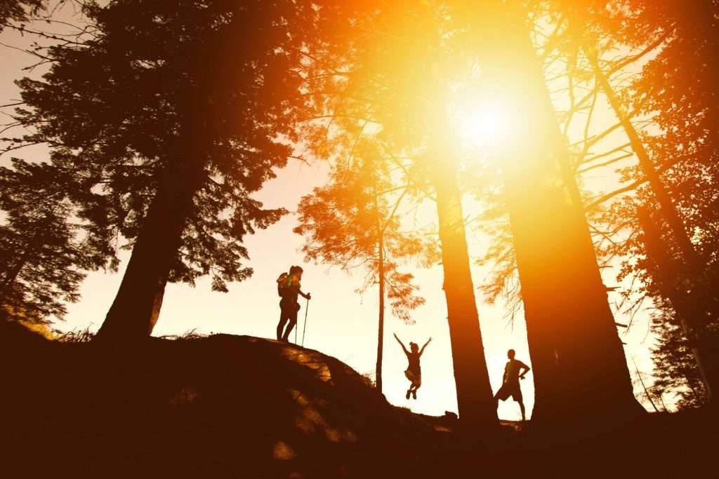 3 people hiking, dusk, trees