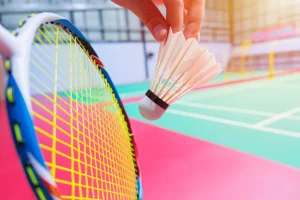 racquet, shuttlecock, pink court