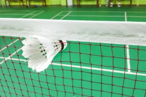 shuttlecock stuck in net