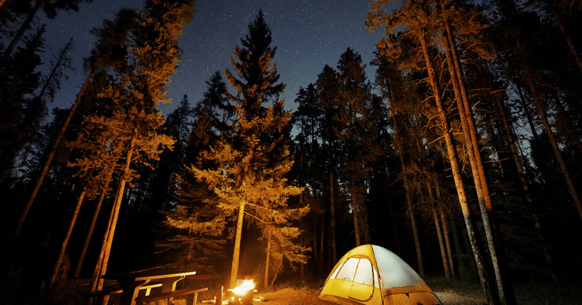 camping under stars with tent and fire 6480f445b6948