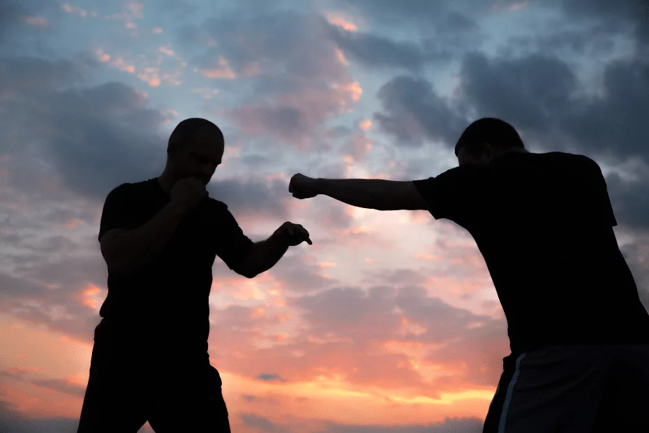 2 people practicing martial arts, dusk background, silhouettes.