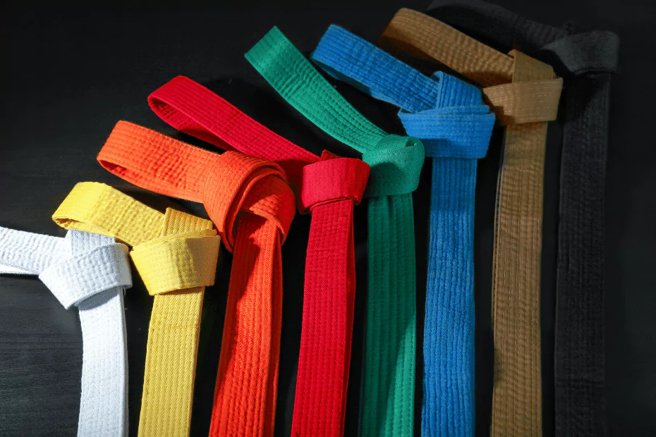 white, yellow, orange, red, green, blue, brown, black belts all in a line, black background