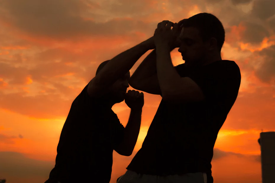 2 men fighting, dusk setting, silhouettes