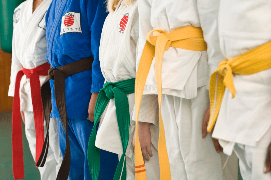 A group of children in martial arts uniforms, red belt, black belt, yellow belts (2), green belt