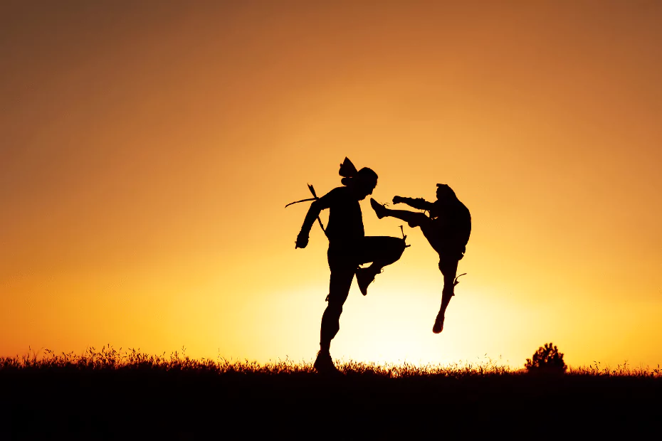 Silhouette of a man wearing muay thai gloves and a dog at sunset