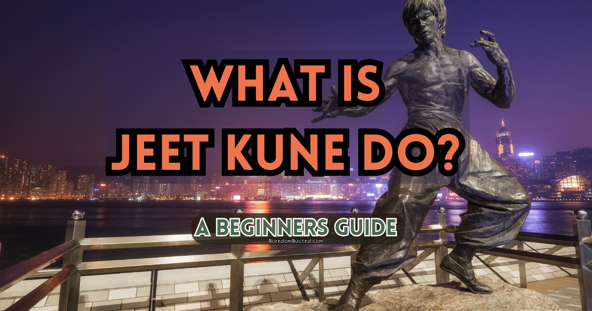 Jeet Kune Do 101: An In-Depth Beginners Overview Of JKD!