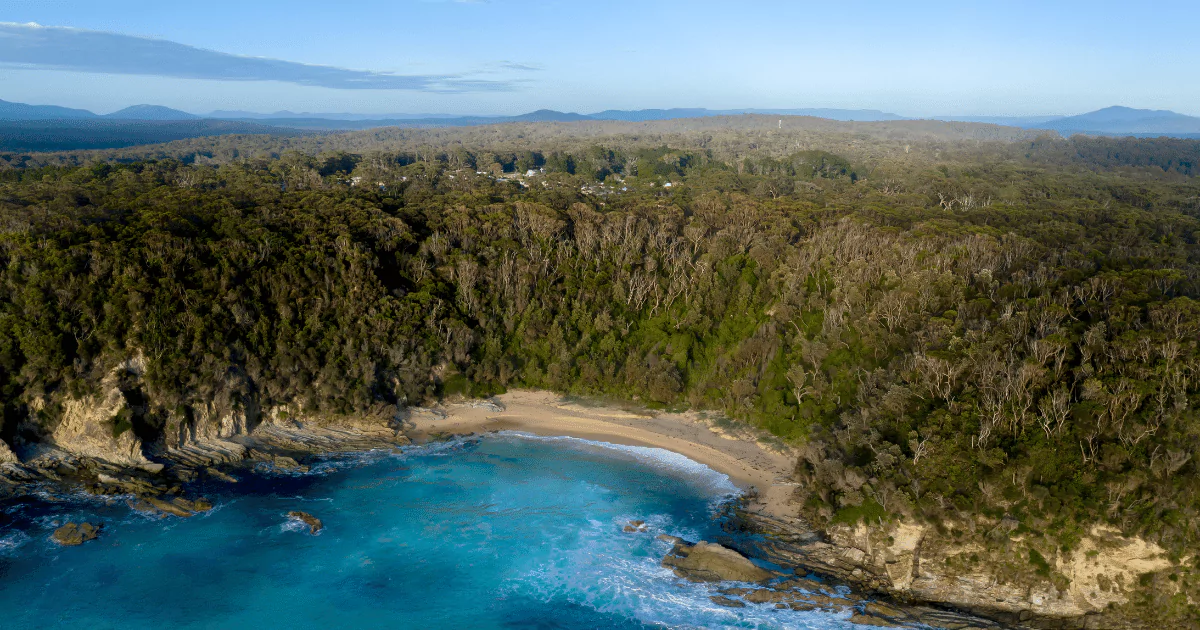 An aerial view of a secluded beach surrounded by trees