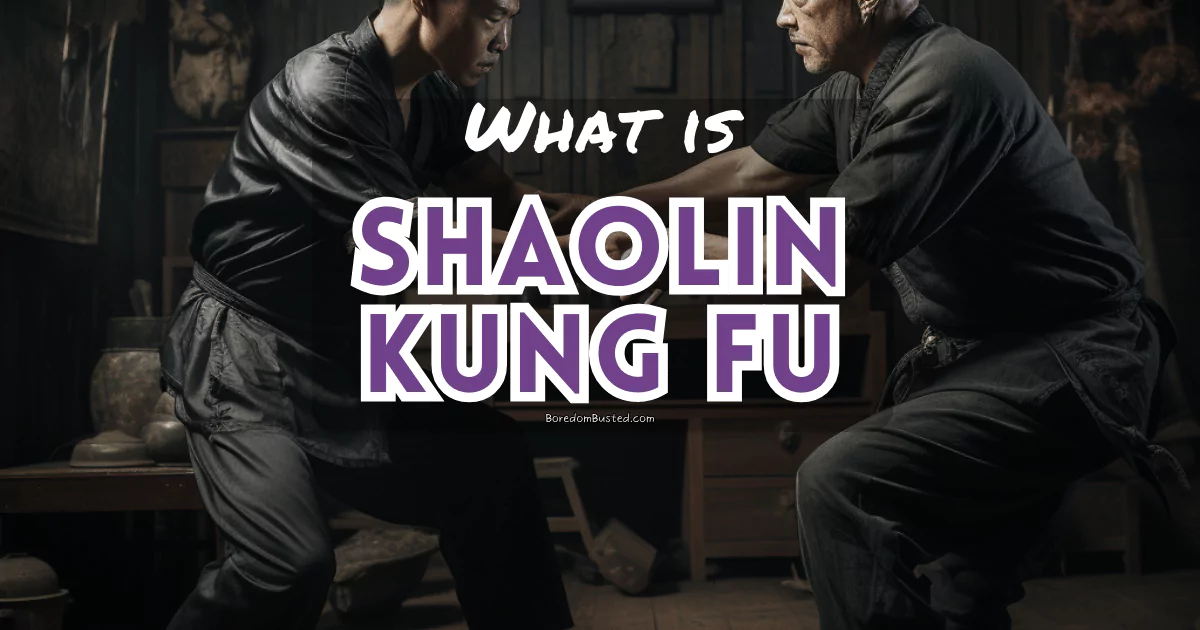What is wing chun? featured image with 2 men fighting